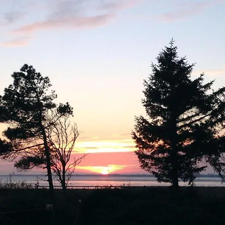 Haus-boehler-landstrasse-50-whg-01 דירה